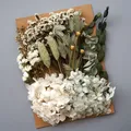 Plantes naturelles séchées pour résine et bougies – Couleur Chocolat (M-35)