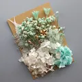 Plantes naturelles séchées pour résine et bougies – Couleur Couleur mixte (M-28)