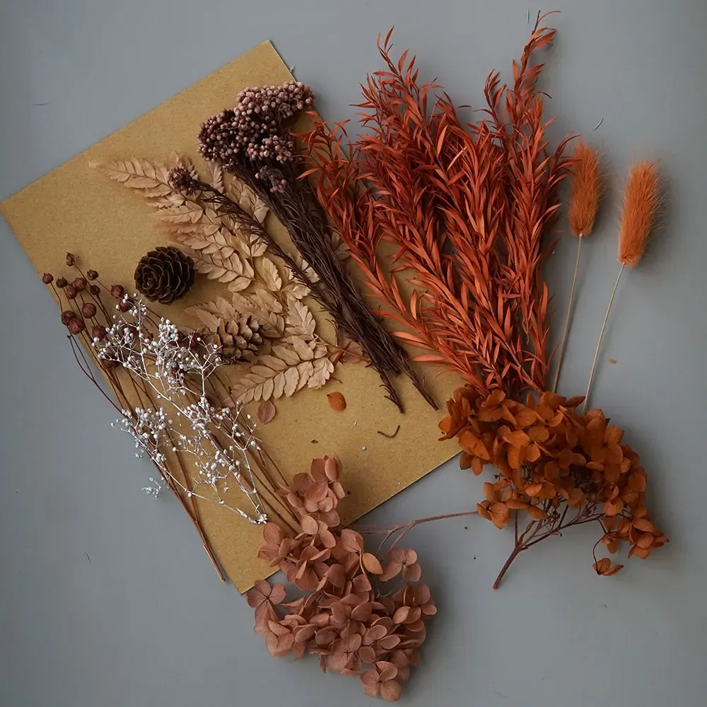 Plantes naturelles séchées pour résine et bougies