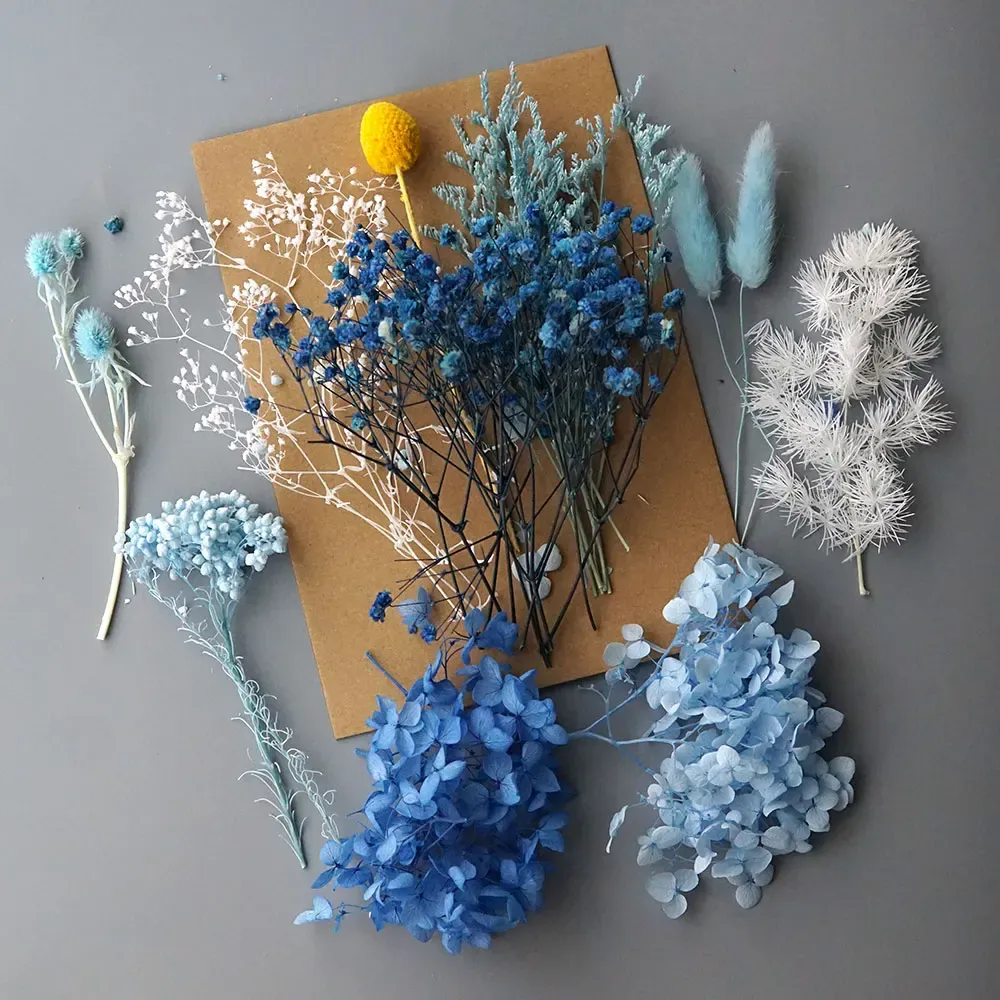 Plantes naturelles séchées pour résine et bougies