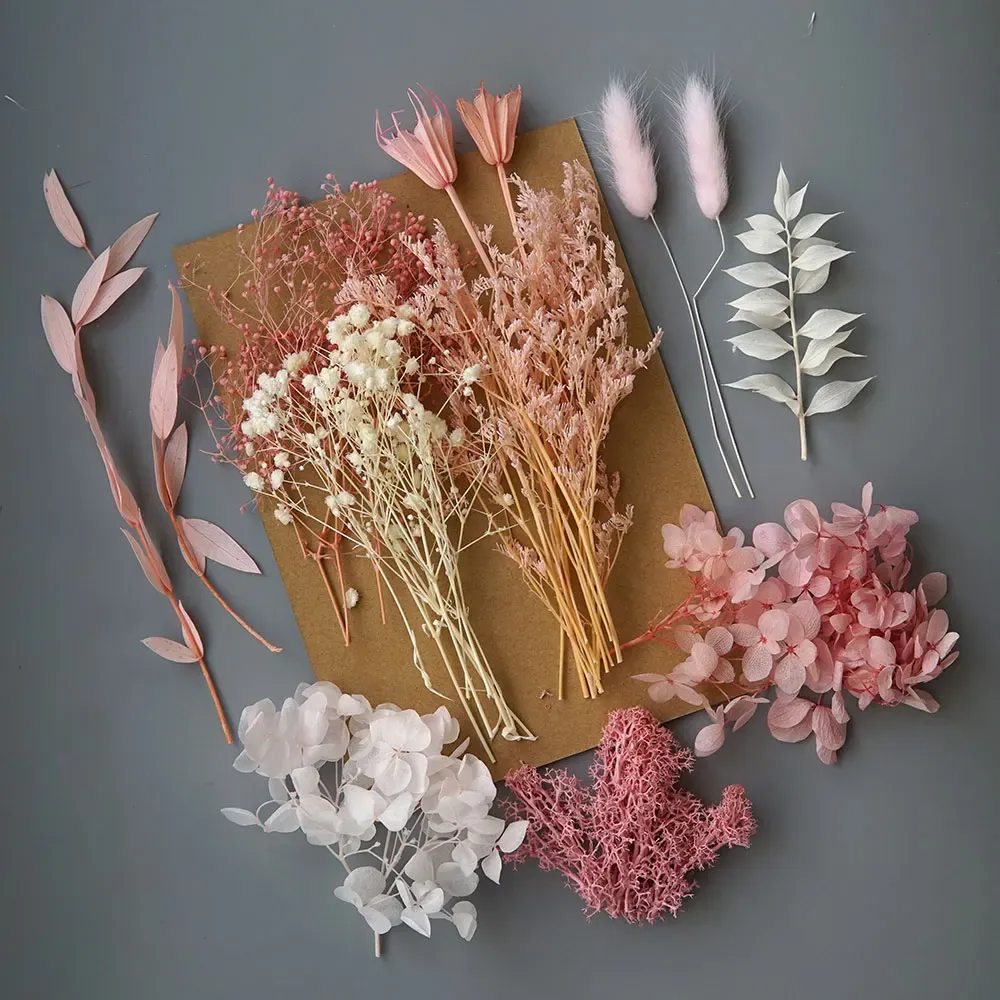 Plantes naturelles séchées pour résine et bougies