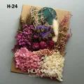 Plantes naturelles séchées pour résine et bougies – Couleur Fuchsia (M-24)