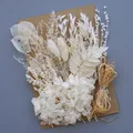 Plantes naturelles séchées pour résine et bougies – Couleur Gingembre (M-37)