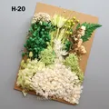 Plantes naturelles séchées pour résine et bougies – Couleur Jaune (M-20)
