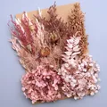 Plantes naturelles séchées pour résine et bougies – Couleur M-16C