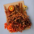Plantes naturelles séchées pour résine et bougies – Couleur Menthe (M-27)