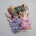 Plantes naturelles séchées pour résine et bougies – Couleur MULTI (M-22)