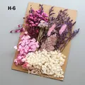 Plantes naturelles séchées pour résine et bougies – Couleur Or (M-6)