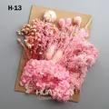 Plantes naturelles séchées pour résine et bougies – Couleur Orange (M-13)