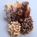 Plantes naturelles séchées pour résine et bougies – Couleur Orange Rouge (M-30)