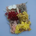 Plantes naturelles séchées pour résine et bougies – Couleur Rose (M-14)