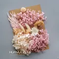 Plantes naturelles séchées pour résine et bougies – Couleur ROUGE CORAIL (M-26)