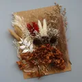 Plantes naturelles séchées pour résine et bougies – Couleur Rouge (M-17)