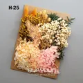 Plantes naturelles séchées pour résine et bougies – Couleur Turquoise (M-25)