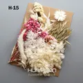 Plantes naturelles séchées pour résine et bougies – Couleur Violet (M-15)