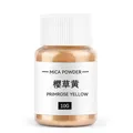 Poudre de mica nacrée 10 g pour résine et bougies – Color Or (14)