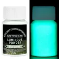 Poudre lumineuse 20g pour résine époxy et bijoux – Couleur Violet (09)