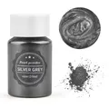 Poudre mica caméléon 24 couleurs pour résine époxy – Couleur Silver Gray