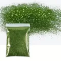 Poudre pailletée holographique 50 g pour résine et décoration – Couleur Grass Green
