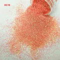 Poudre paillettes holographique 24 couleurs pour résine – Couleur 50Gram HC18(Bag)