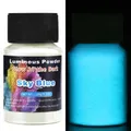 Poudre phosphorescente 20 g pour remplissage résine et artisanat – Couleur 1476023-01