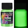 Poudre phosphorescente 20 g pour remplissage résine et artisanat – Couleur 1476026-04