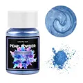 Poudre pigment résine 20 ml pour bijoux et nail art – Color GRIS FONCÉ (05)