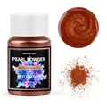 Poudre pigment résine 20 ml pour bijoux et nail art – Color Gris foncé (20)