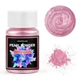 Poudre pigment résine 20 ml pour bijoux et nail art – Color noir (16)