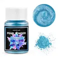 Poudre pigment résine 20 ml pour bijoux et nail art – Color prune (06)
