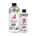 Résine époxy AB transparente 3:1 75 à 1000 g pour bijoux – Color A750g-B250g