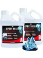Résine époxy transparente 32oz anti-rayures – Couleur Clear